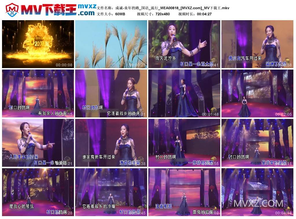 成诚-童年的路_国语_流行_MEA00818